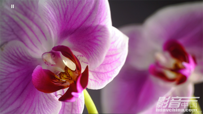 索尼vpl-xw7000打游戏,索尼vw5000激光投影机