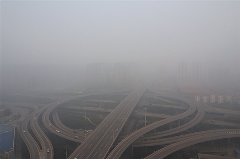 合肥和石家庄哪个城市比较好,合肥最有潜力的省会