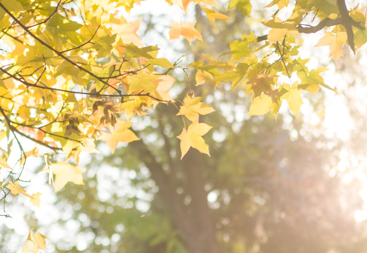 健康一切安好就是最大的福气,其实人这辈子健康才是王道