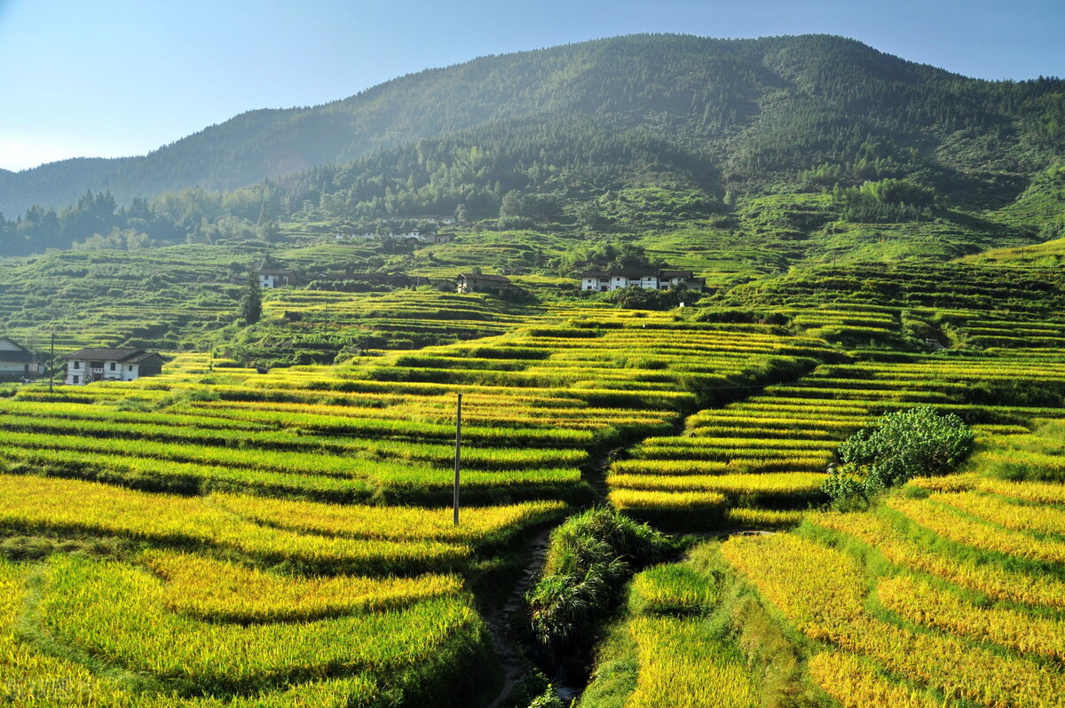 打工不赚钱为什么还有人打工,打工已经不赚钱了我们应该怎么办