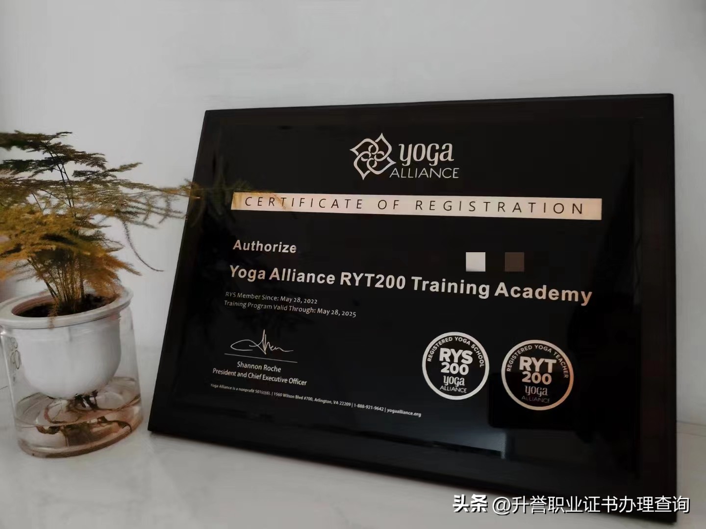 想考个瑜伽教练证需要什么条件,零基础怎么考瑜伽教练证