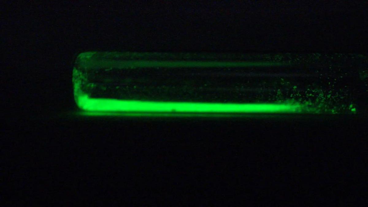 慈禧陪葬夜明珠在哪里,慈禧死后夜明珠价值千万