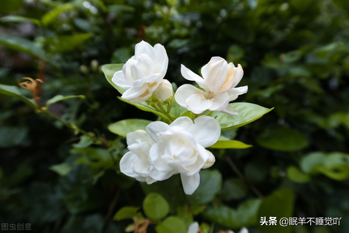 过度在意别人对自己的在乎,别总在意别人的感受而委屈了自己