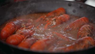 四会石狗镇兰花展今年什么时间,石狗镇程村兰花展馆