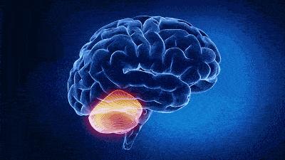 记忆力差一转头就忘了是什么原因,孩子记忆力不好转头就忘怎么办