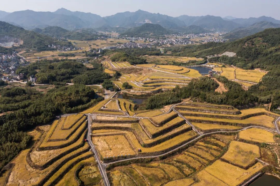 山地丘陵梯田的首选农机,农机怎么跑业务