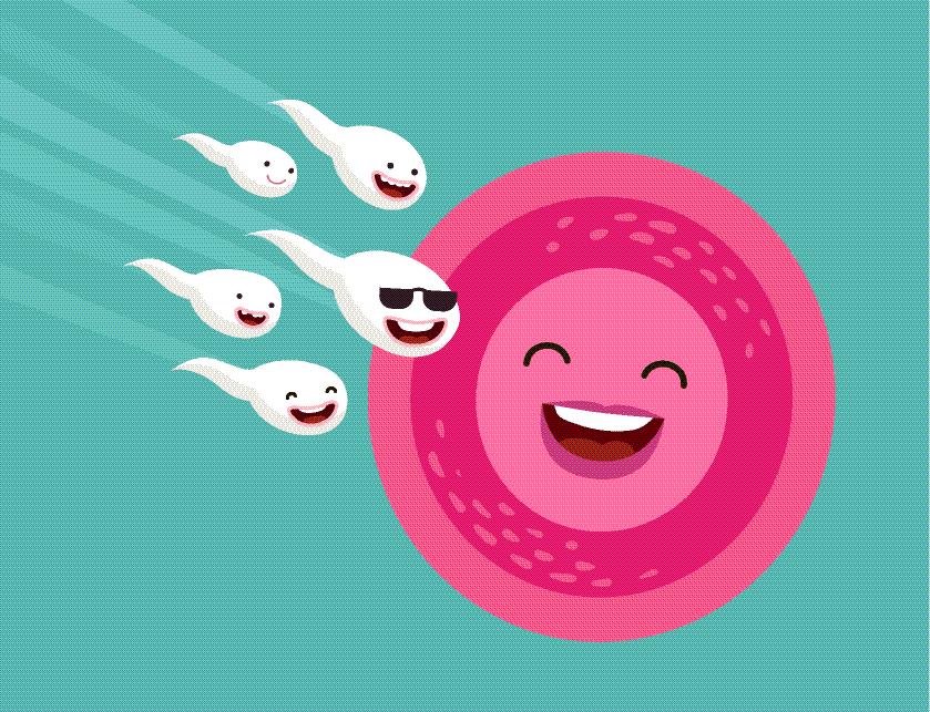 试管前期检查有问题还能进周期吗,试管婴儿进周了还要做什么检查吗