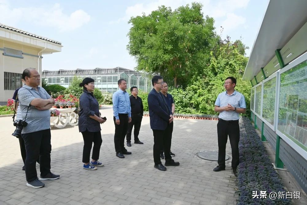 看看粤港澳大湾区记者们笔下的白银