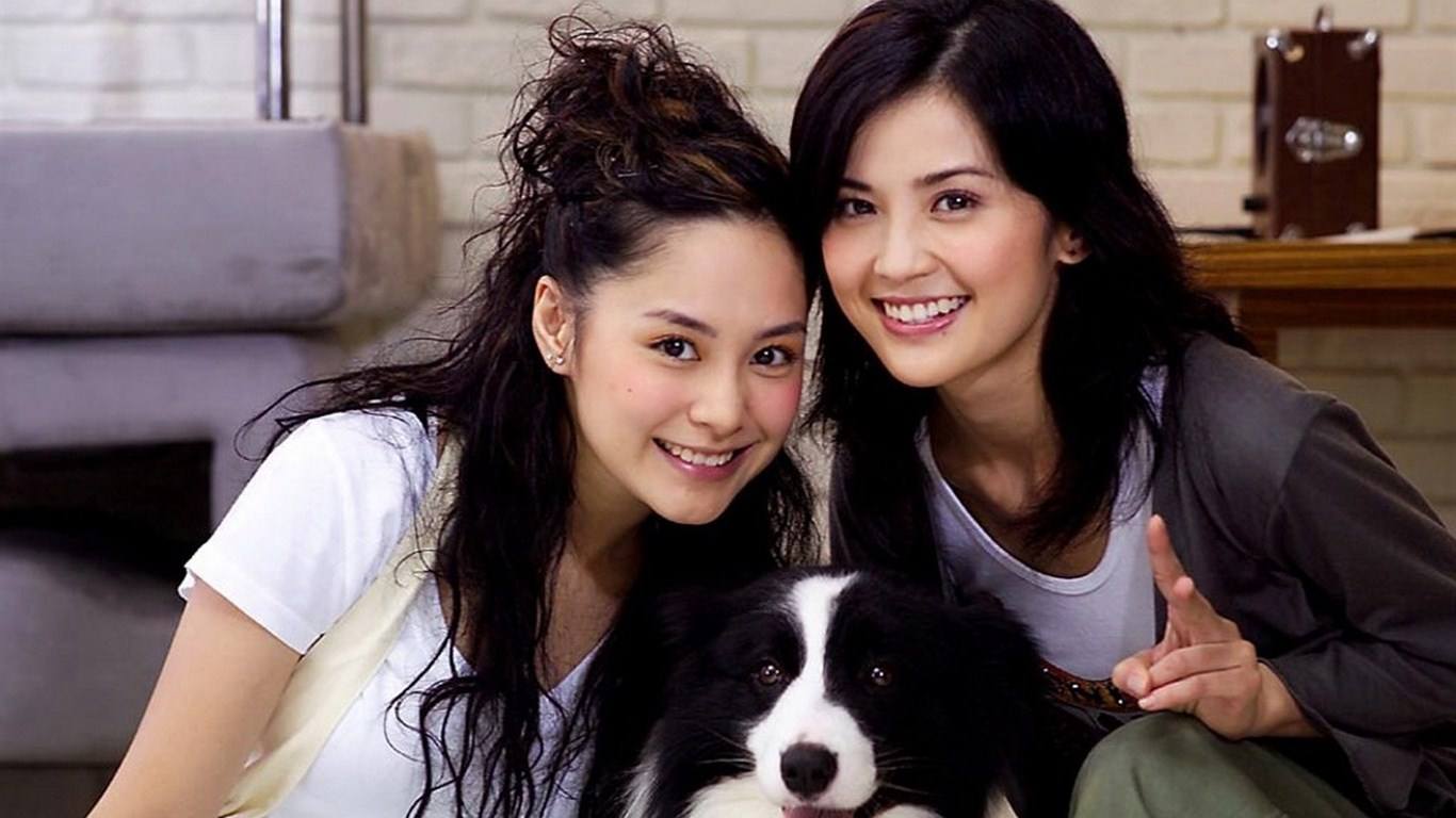 乘风破浪的姐姐第三季预测名单,乘风破浪的姐姐第三季reaction