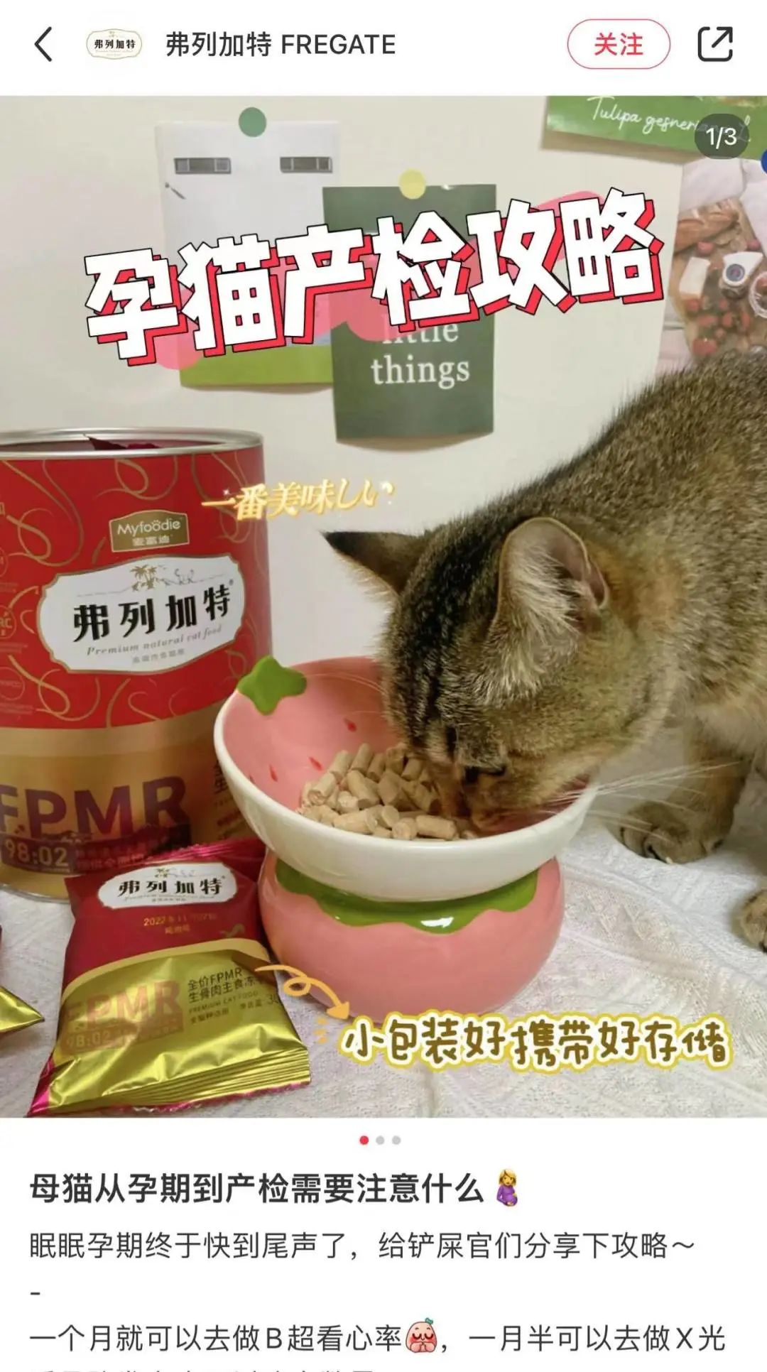 小红书上猫狗搜索热词有哪些？来看看这篇报告就知道了