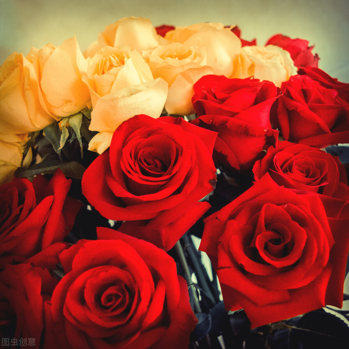 外遇原创小说连载,婚内出轨小说长篇