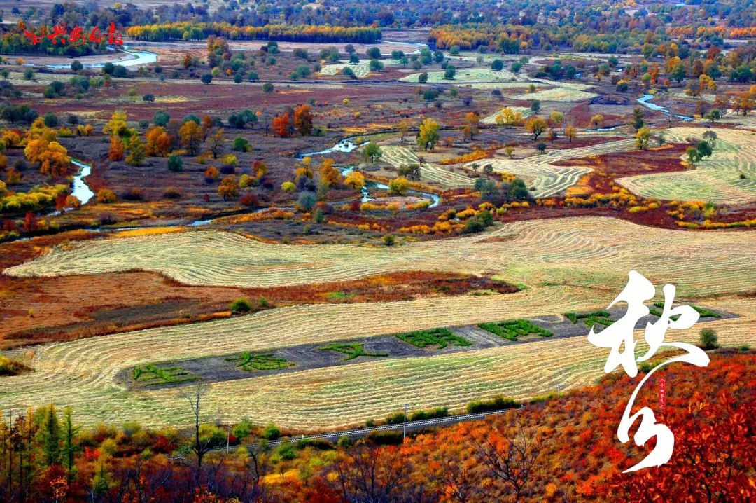 二十四节气之秋分丰收,秋分节气平分秋色