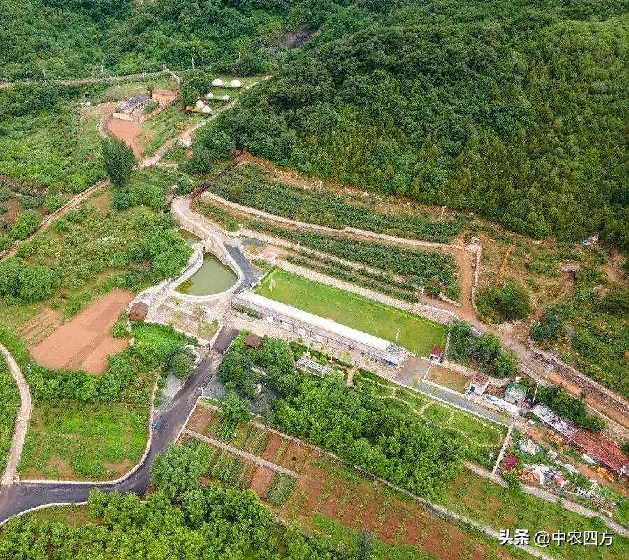 乡村振兴策划规划方案,乡村振兴策划规划设计方案