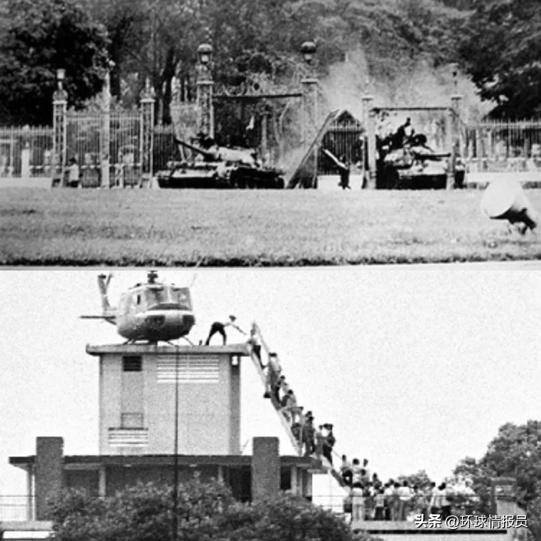 猫也能混进十二生肖？越南为什么不过兔年，而是过猫年？