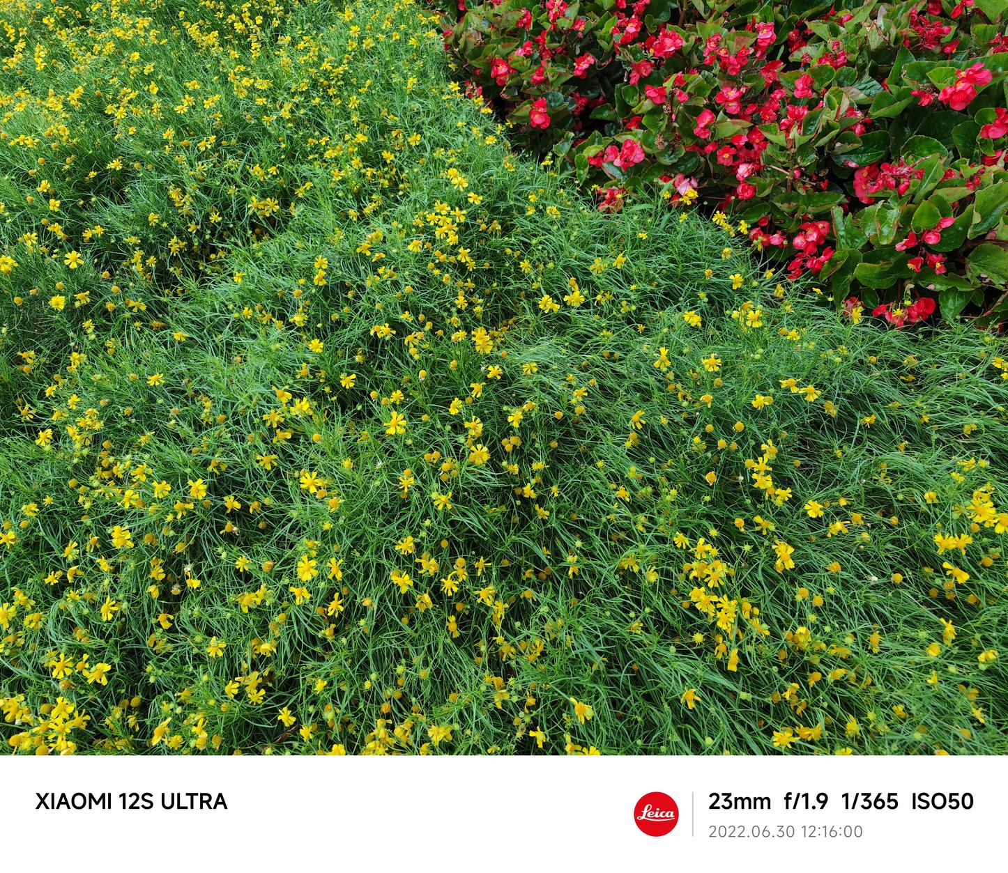 小米12sultra评测首发,小米12sultra影像测评最新