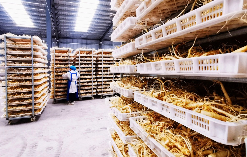 进口正品西洋参500克多少钱,进口西洋参与国产参的差别