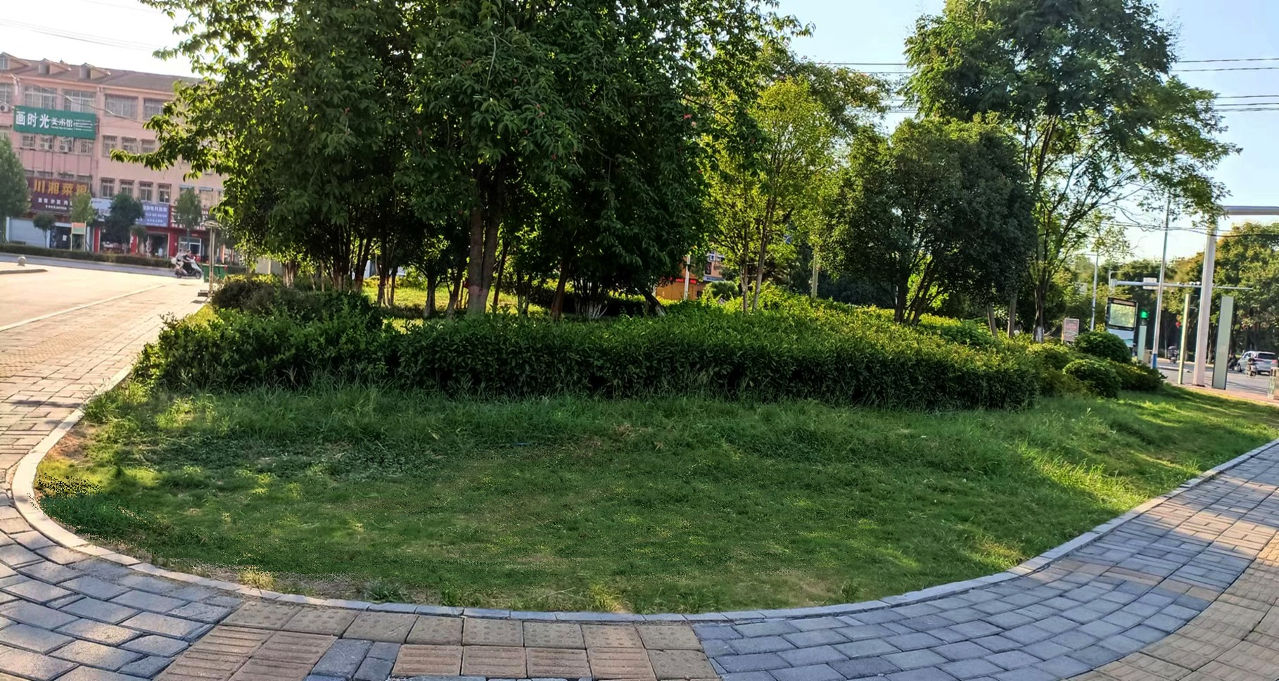 桐柏县园林绿化处,桐柏县园林绿化中心