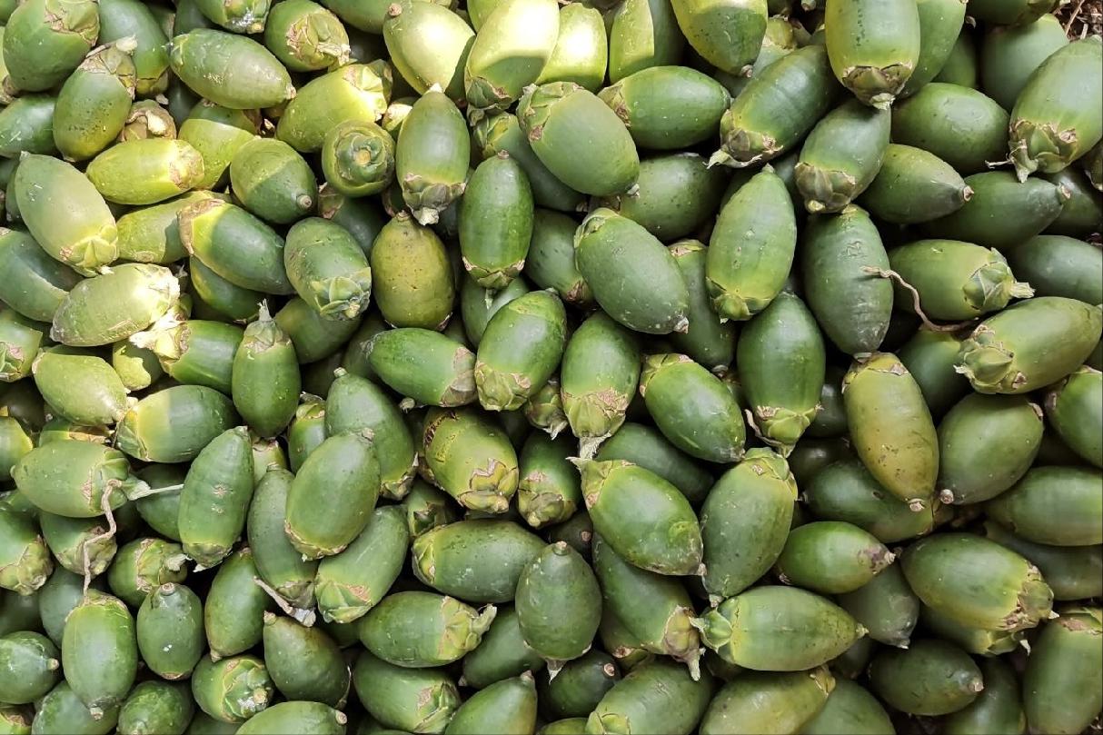 槟榔什么时候被定为一级致癌物,槟榔被定为一级致癌物禁售了吗