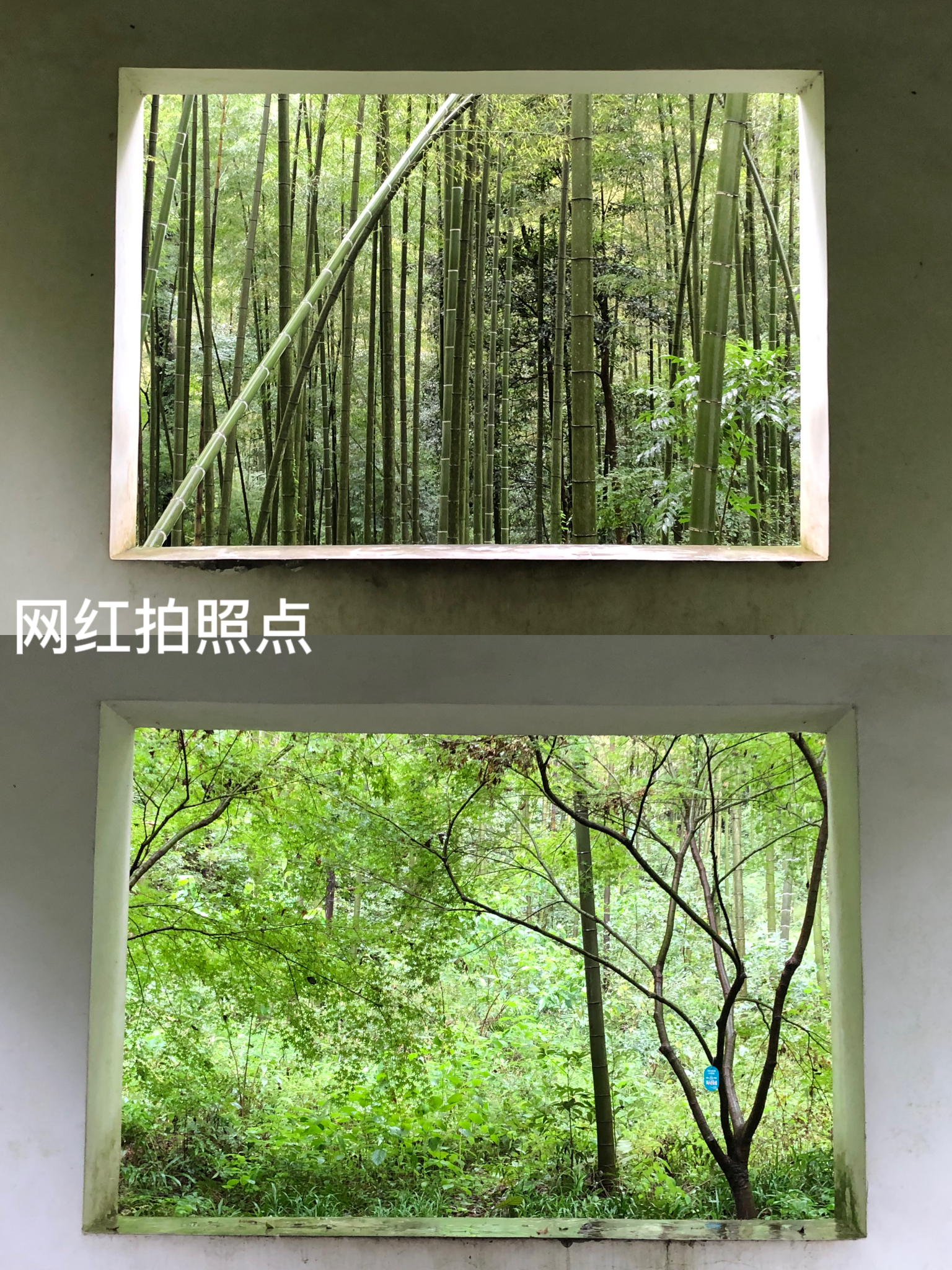 杭州钱塘江观潮最佳景点,杭州有哪些旅游景点好玩