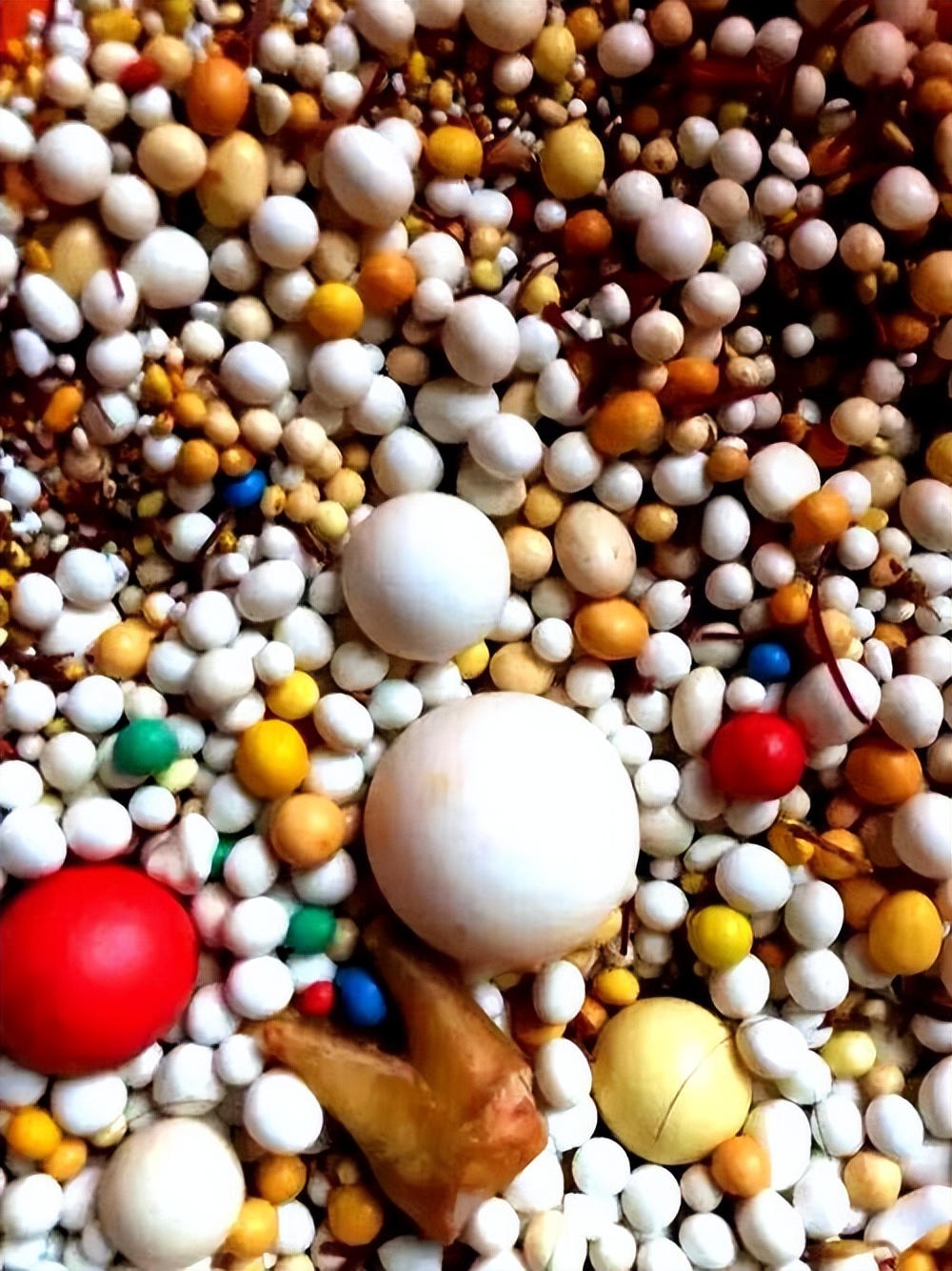 舍利到底是什么样子的,舍利小知识