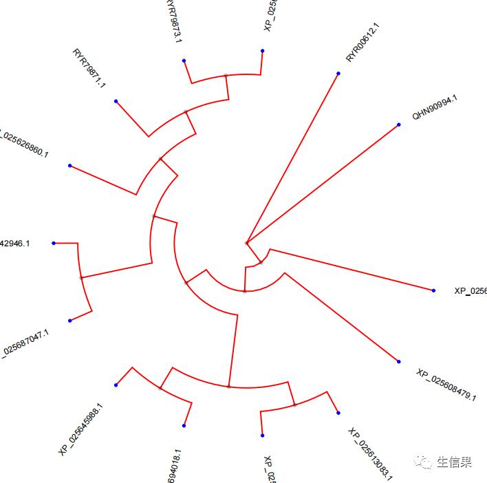 用r语言生成矩阵,使用r语言绘图