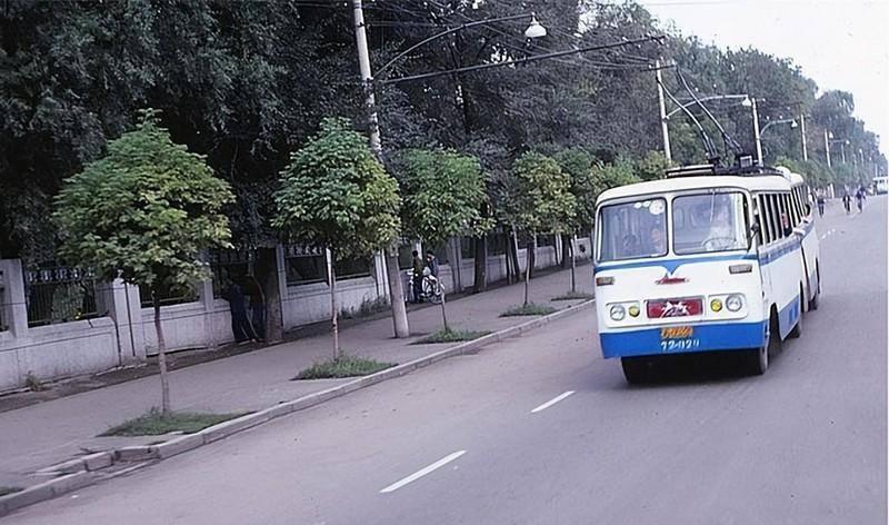 你不知道的历史真相1,你不知道的残酷的历史真相