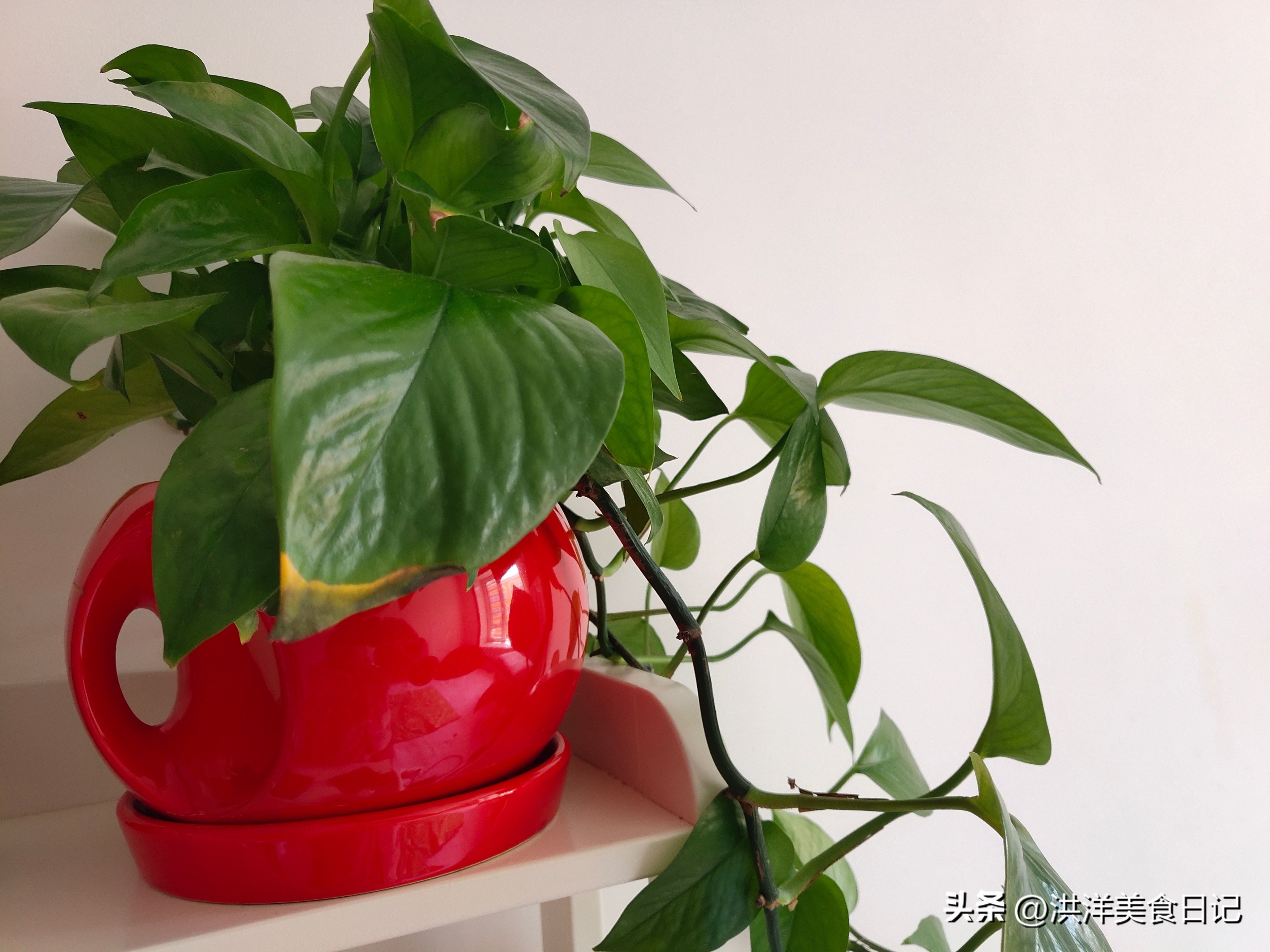 老人言：“厨房5不放，人财会越旺”，5不放指的是什么，涨知识了