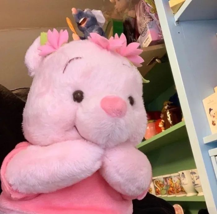 可可爱爱的宠物头像,可可爱爱小熊头像