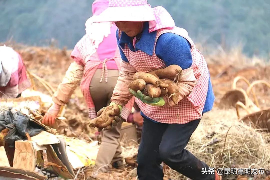 嵩明拍摄,嵩明逛逛电子商务