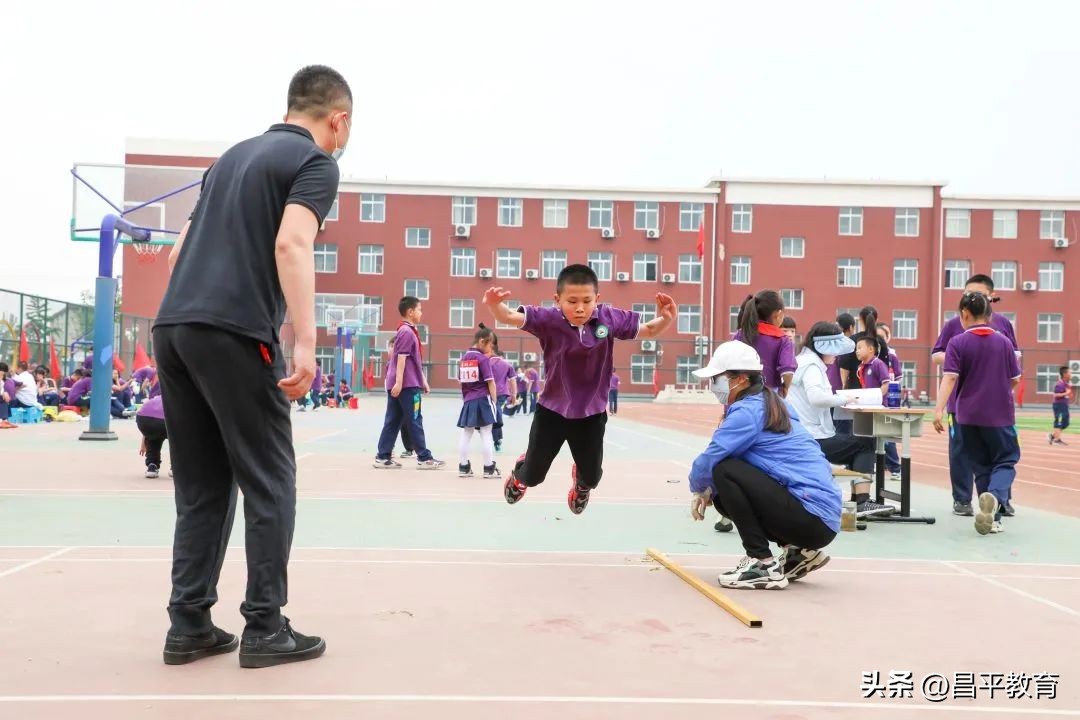 校园竞技体育的魅力,校园青春比赛