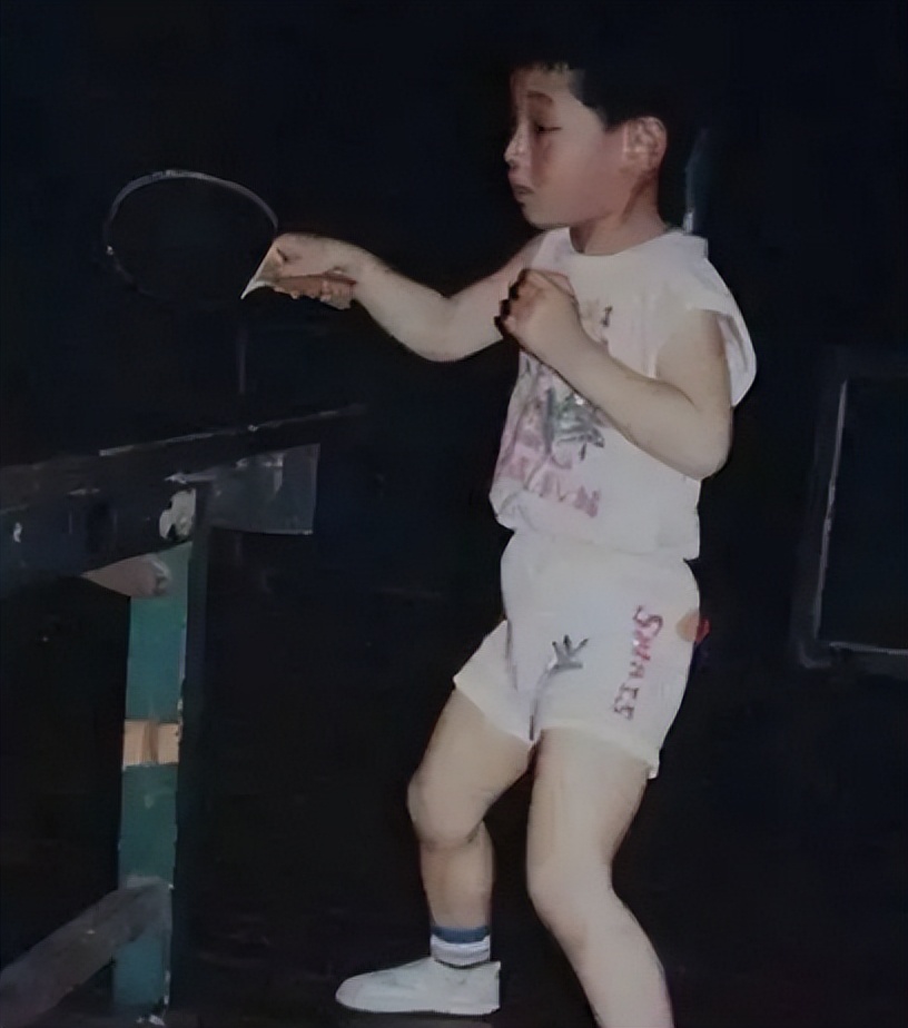 张继科从出道到大满贯之路,大满贯张继科比赛