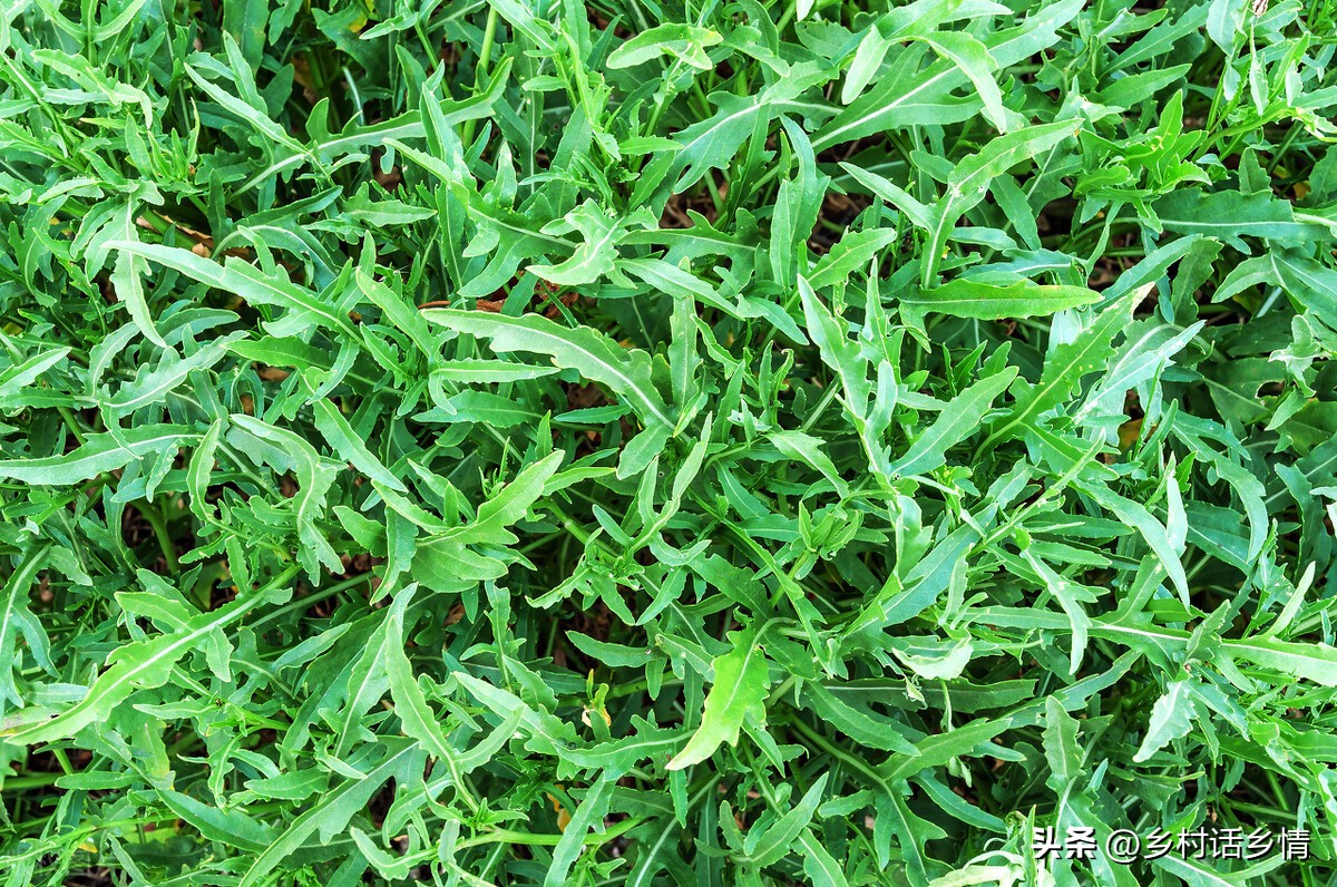 <html>
<head><title>502BadGateway</title></head>
<body>
<center><h1>502BadGateway</h1></center>
<hr><center>nginx</center>
</body>
</html>
<!--apaddingtodisableMSIEandChromefriendlyerrorpage-->
<!--apaddingtodisableMSIEandChromefriendlyerrorpage-->
<!--apaddingtodisableMSIEandChromefriendlyerrorpage-->
<!--apaddingtodisableMSIEandChromefriendlyerrorpage-->
<!--apaddingtodisableMSIEandChromefriendlyerrorpage-->
<!--apaddingtodisableMSIEandChromefriendlyerrorpage-->
