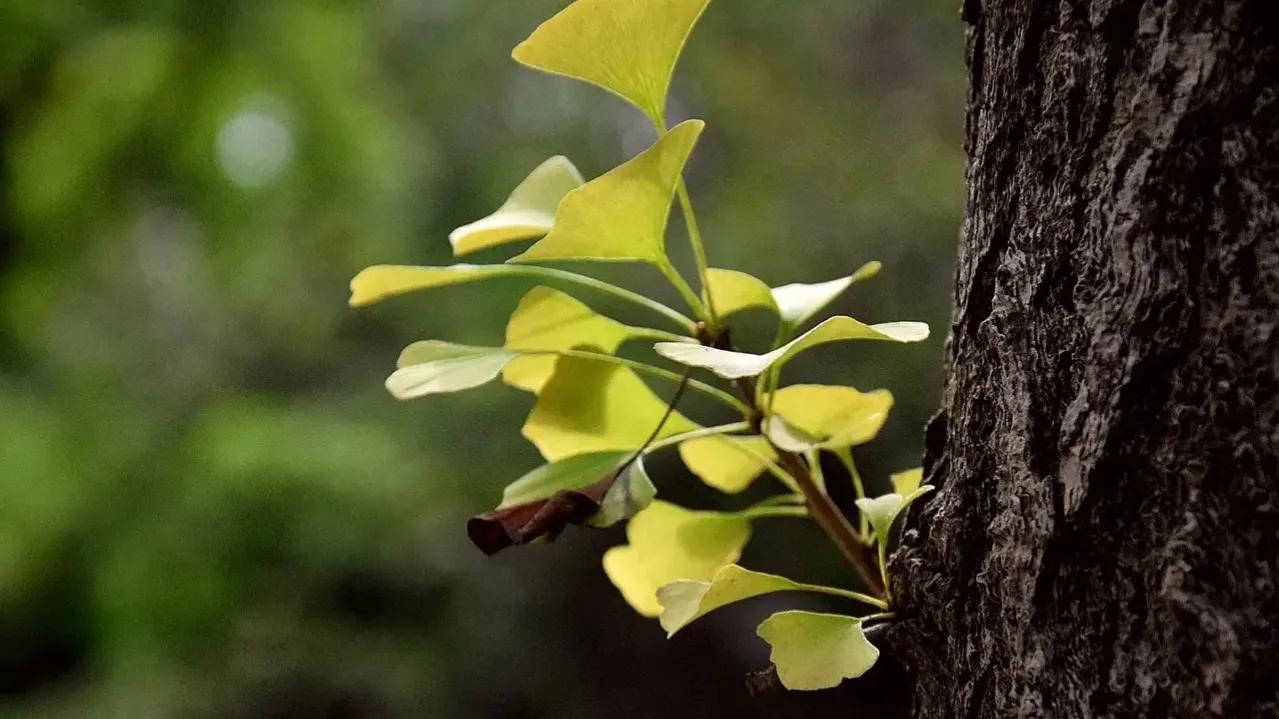 退休后存款达到多少才能过得舒坦,退休以后如何有稳定的收入来源