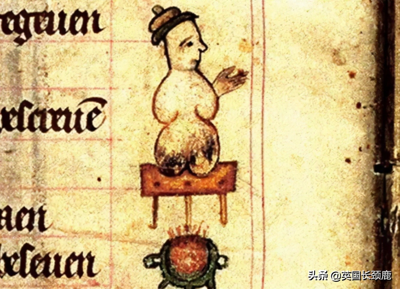 圣诞来啦！拔圣诞拉炮、喝Eggnog...有关圣诞习俗的超级科普