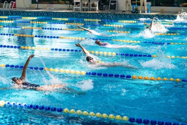 聚龙小镇：离城不离尘的心灵