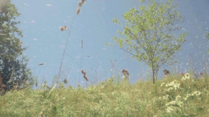 超高频英语1000句,超高频英语单词精讲