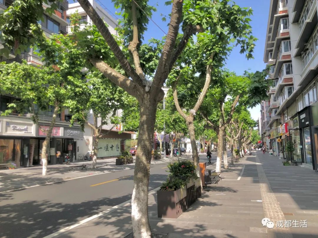 成都最有烟火气的老街,成都比较有特色的老街