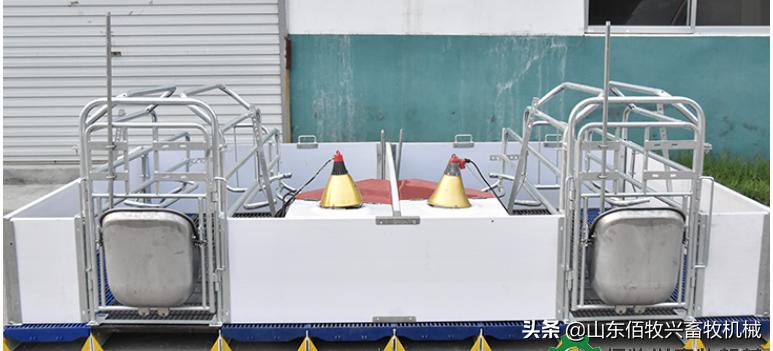 水泡粪母猪产床的尺寸是怎样的,单体产床尺寸制作方法