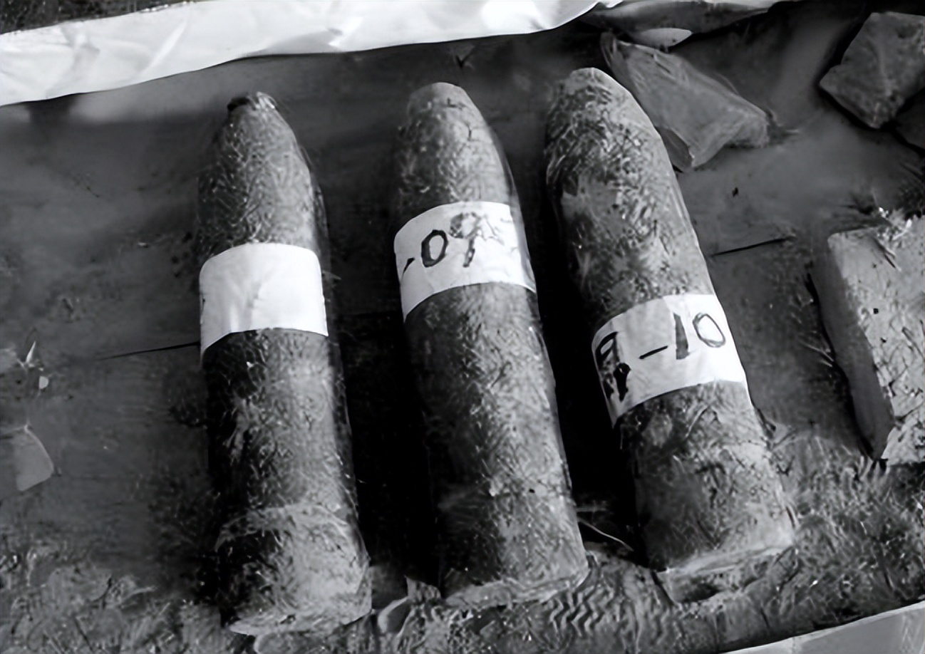 日本侵华老兵来黑龙江,日本老兵来南京和受害幸存者见面