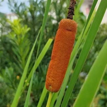 难以言说的痛,难以言喻的痛楚