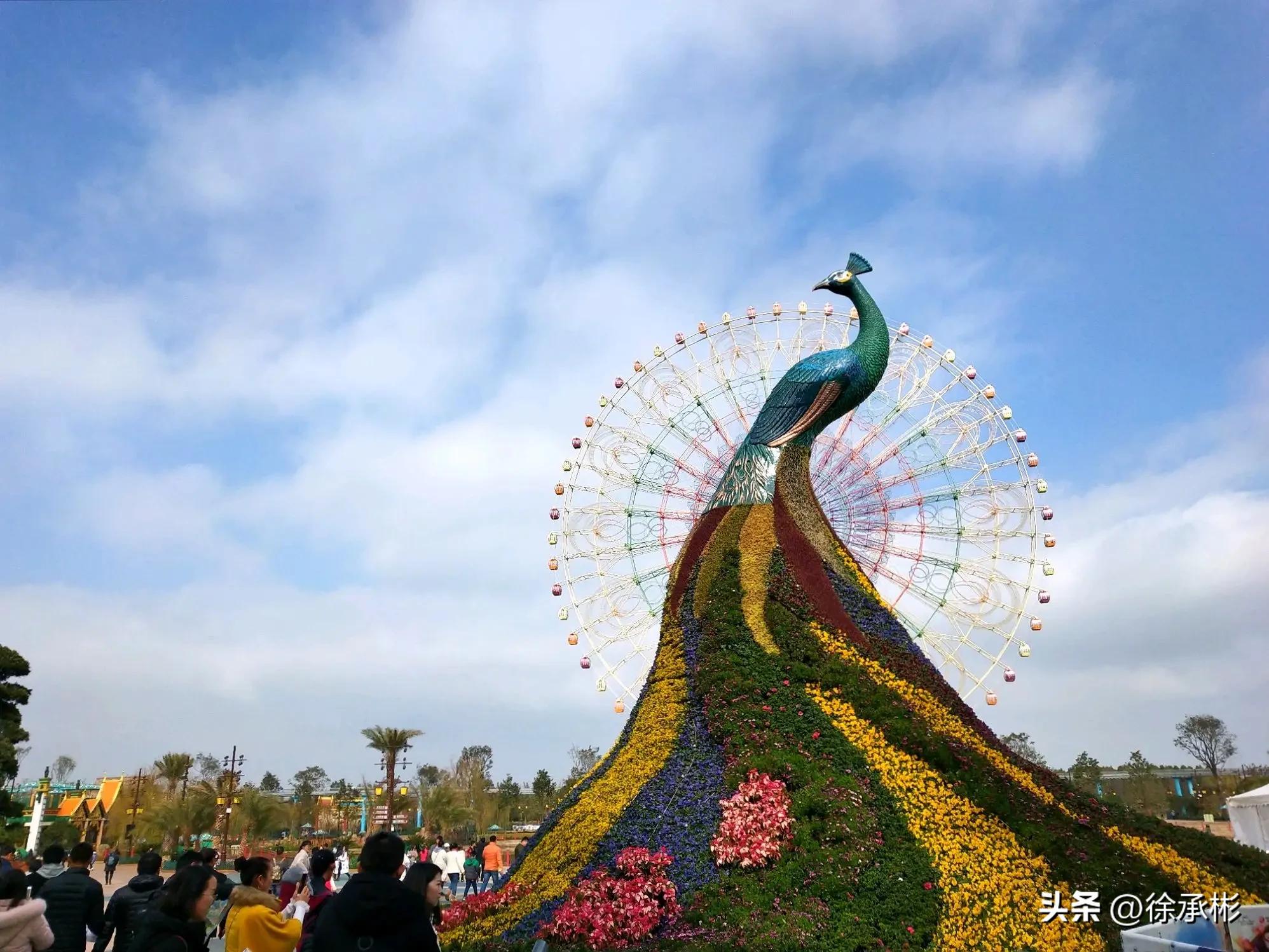 去七彩云南必备,去七彩云南最省钱的攻略