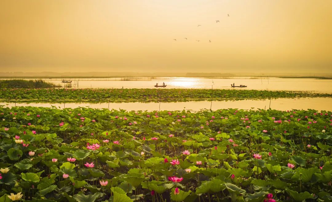 微山湖旅游攻略秋季,冬季微山湖旅游景区攻略