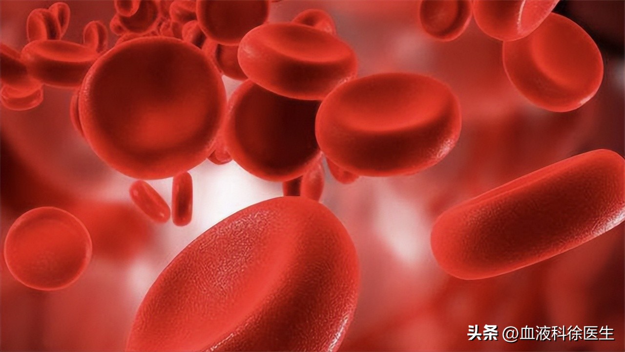 血友病：常被误认为“白血病”，血友病的症状有哪些？
