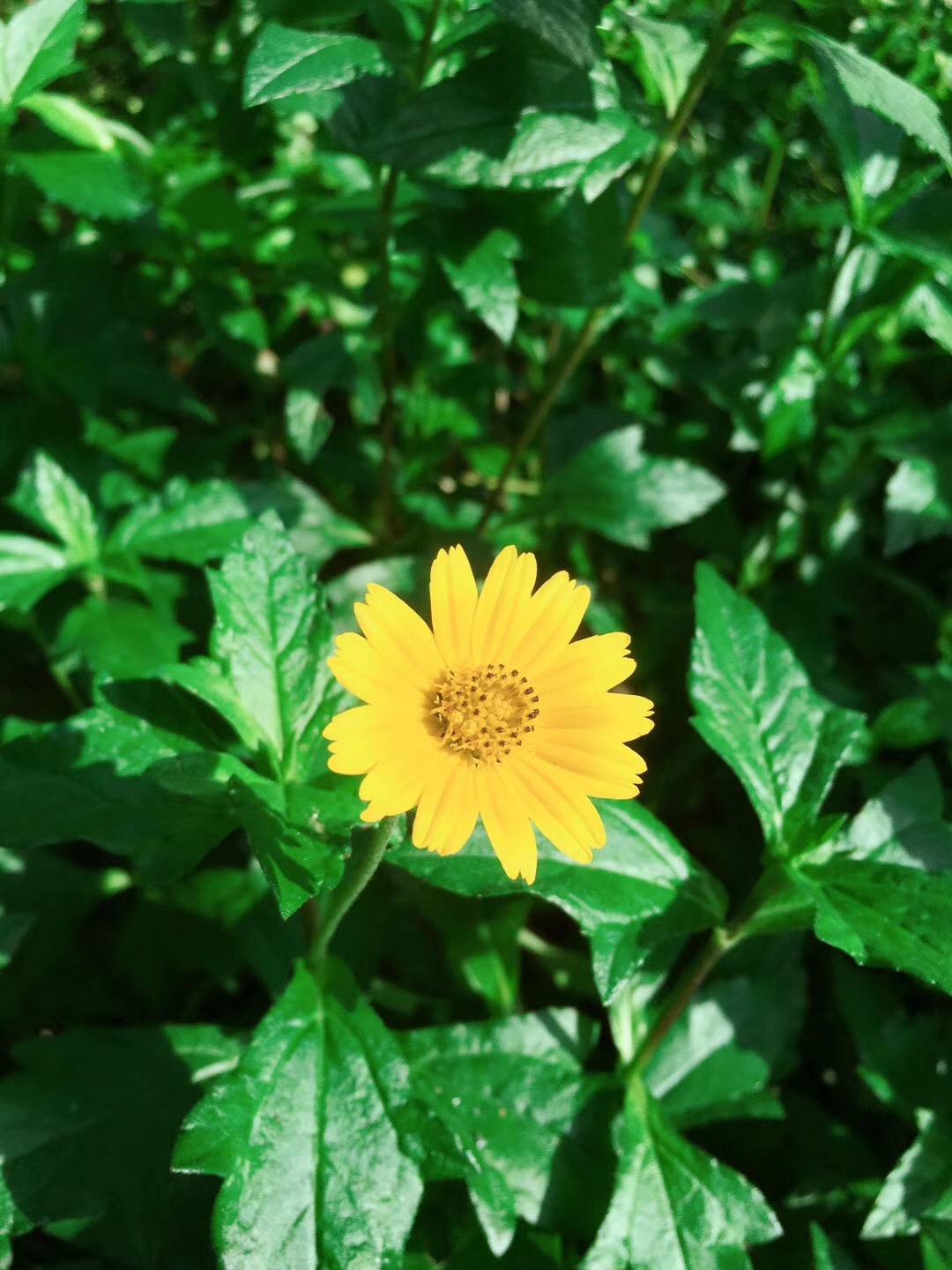 面对别人的拒绝总暗暗伤心,接受别人的好意有罪恶感