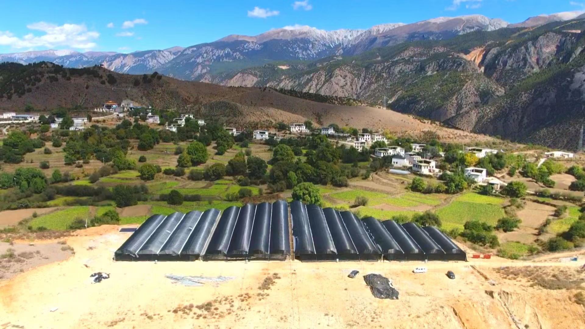 小蘑菇撑起乡村发展新希望,小蘑菇撑起了农民的致富路