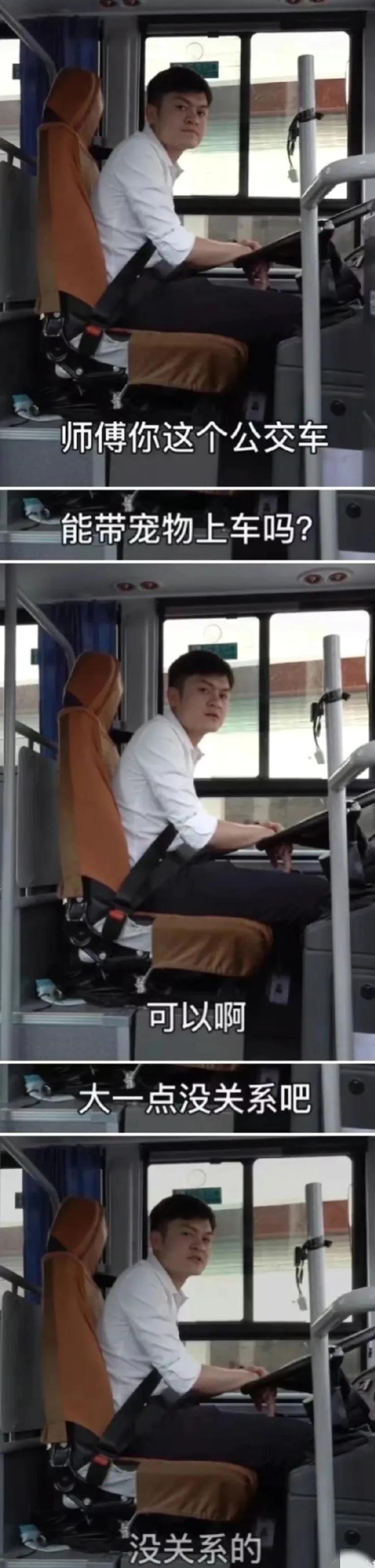 今日笑话原版,蚂蚁大象青藏高原笑话