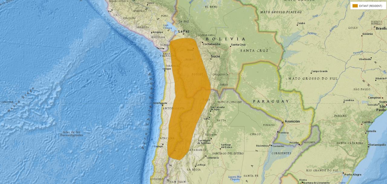 素食宠物食品,素食宠物零食有哪些品种