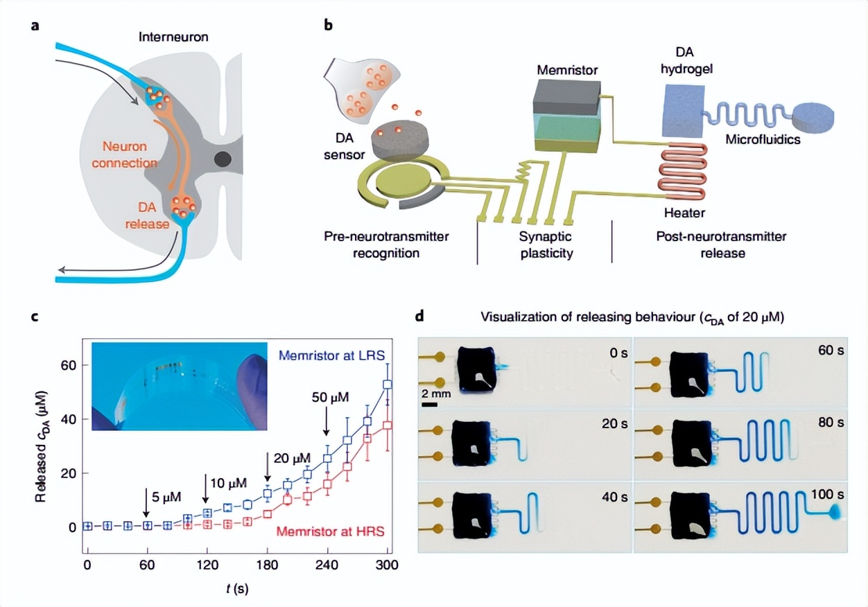 南邮与南洋理工合作项目,南邮团队研发纳米机器