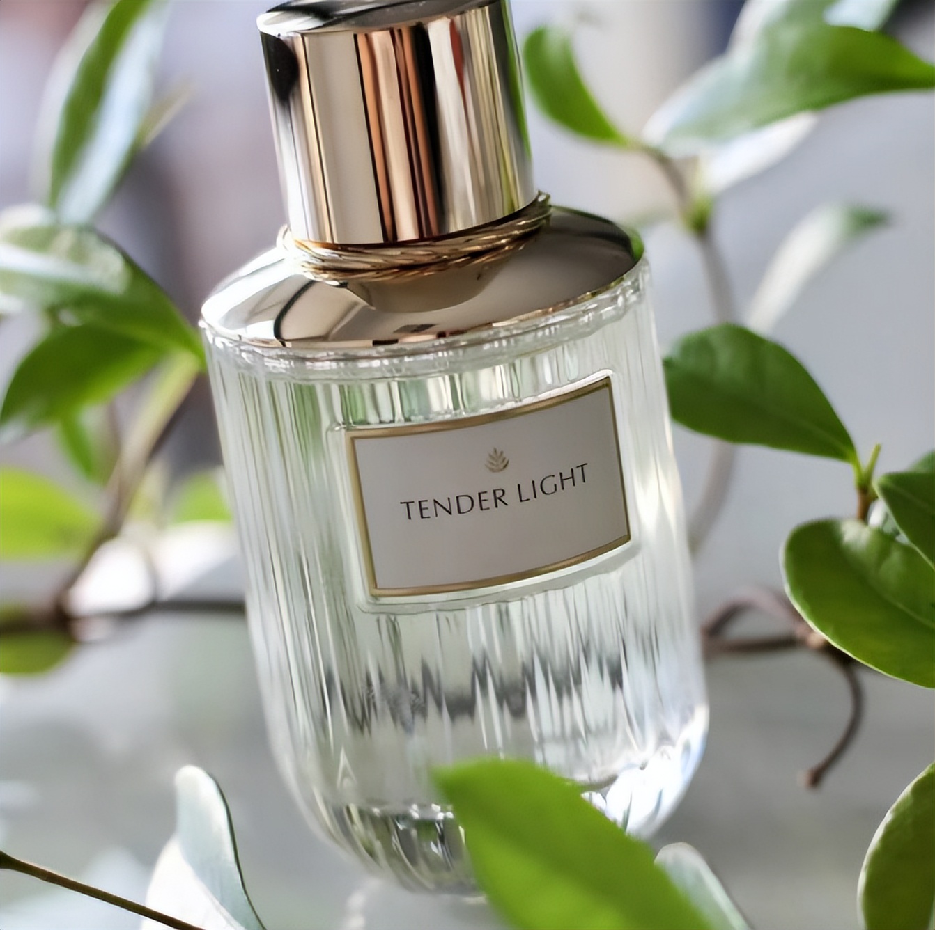 香水秋冬推荐淡香高级持久,秋冬好闻的香水推荐学生