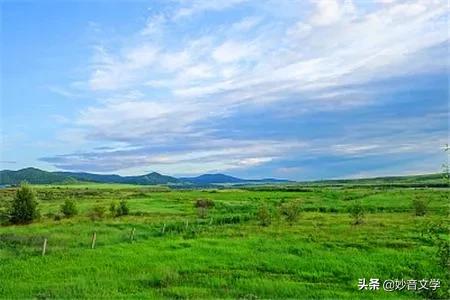 现代诗小草（外二首）●作者：谢云峰（江西）